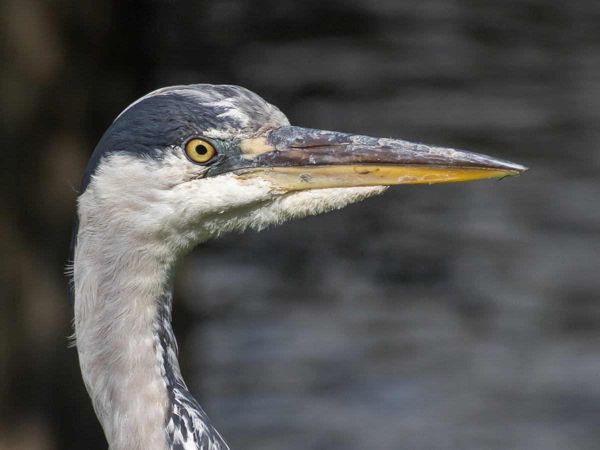 foto: [20210810PV4390-2]